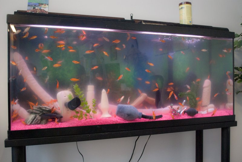 The Center for Autosexual Reproduction — 10